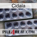 Cidala 31